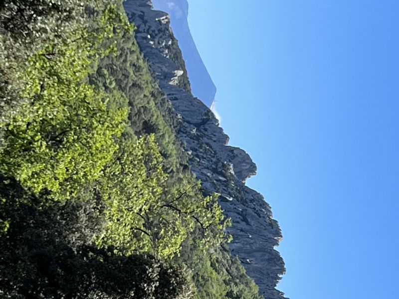 Frankreich Dentelles de Montmirail Mont Ventoux