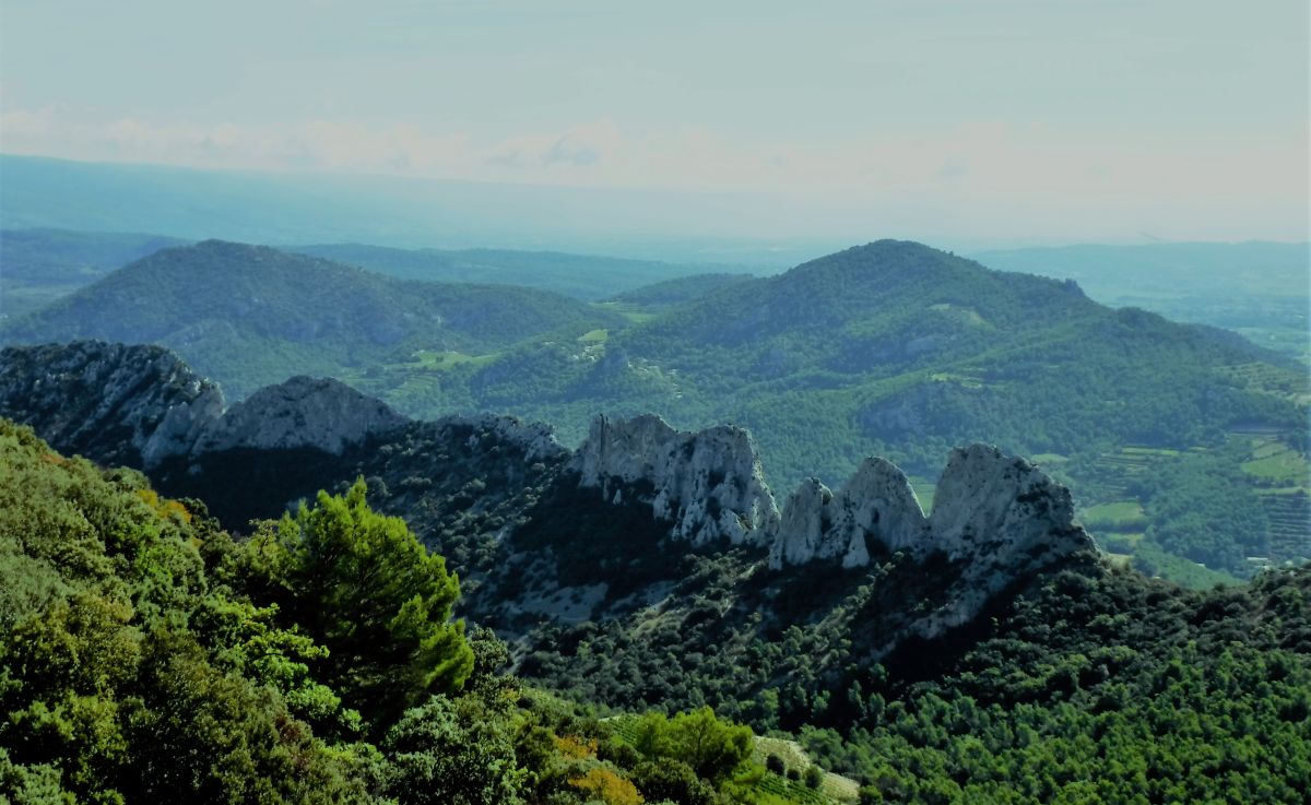 Frankreich-Klettern-Dentelles-de-Montmirail-Chaine-de-clapis