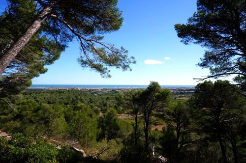 Frankreich-Massiv-de-la-clape-klettern-Aussicht