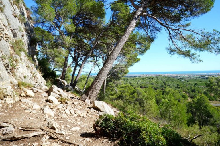 Frankreich-Massiv-de-la-clape-klettern-Felsfuss