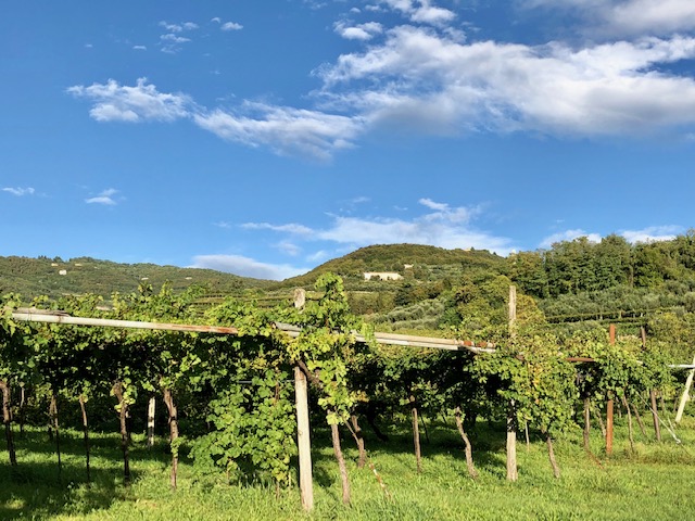 Wein kaufen im Kletterurlaub …