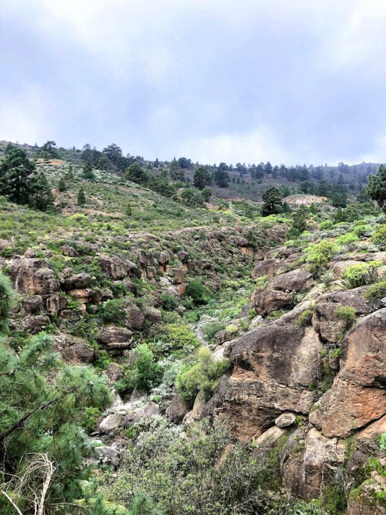 Spanien-Teneriffa-Arico-Klettergebiet-von-oben