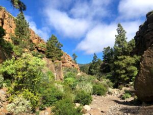 Read more about the article Klettern auf Teneriffa – Arico bis 6a+
