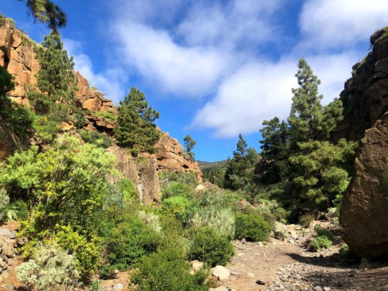 Spanien-Teneriffa-Arico-in-der-Schlucht-zum-klettern