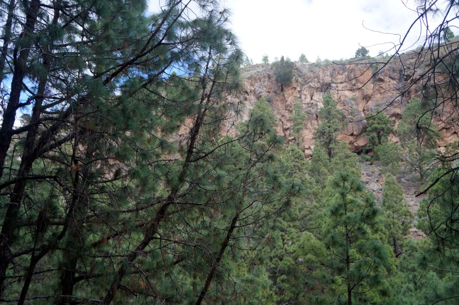 Spanien-Teneriffa-Klettern-Las-Barbas-de-san-pedro-Ambienten