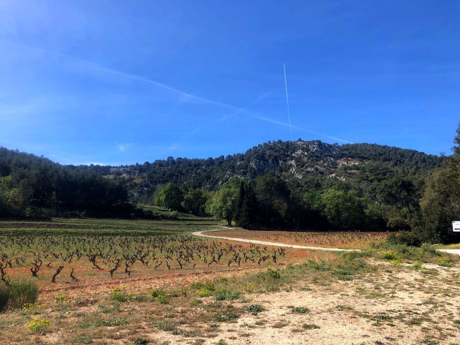 Frankreich-Klettern-an-der-Cote-dazur-weg-nach-jaume