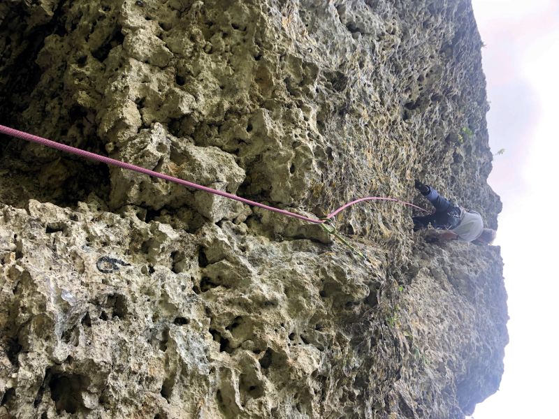 Frankreich Champagne Vertus Klettern Achim Brixendorf klettert